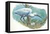 Great Egret Casmerodius Albus or Ardea Alba at Nest with Eggs-null-Framed Stretched Canvas