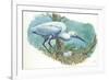 Great Egret Casmerodius Albus or Ardea Alba at Nest with Eggs-null-Framed Giclee Print