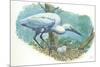 Great Egret Casmerodius Albus or Ardea Alba at Nest with Eggs-null-Mounted Giclee Print