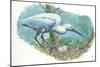 Great Egret Casmerodius Albus or Ardea Alba at Nest with Eggs-null-Mounted Giclee Print