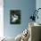 Great Egret Exhibiting Sky Pointing on Nest, St. Augustine, Florida, USA-Jim Zuckerman-Mounted Photographic Print displayed on a wall