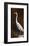 Great Egret Marsh-Richard Clifton-Framed Art Print