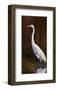 Great Egret Marsh-Richard Clifton-Framed Art Print