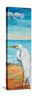 Great Egret Panel II-Patricia Pinto-Stretched Canvas