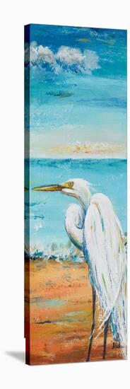 Great Egret Panel II-Patricia Pinto-Stretched Canvas