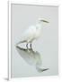 Great Egret Reflected-Arthur Morris-Framed Photographic Print