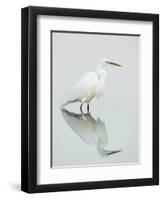 Great Egret Reflected-Arthur Morris-Framed Photographic Print