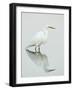 Great Egret Reflected-Arthur Morris-Framed Photographic Print