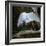 Great egret standing on a branch looking under its wing, USA-George Sanker-Framed Photographic Print