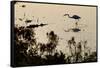 Great Egret Stands Still, It Stalks Dinner, Marshes Of Blackwater Wildlife Refuge, Cambridge, MD-Karine Aigner-Framed Stretched Canvas