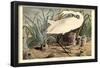 Great Egret-null-Framed Poster