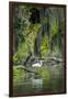 Great Egret-Gary Carter-Framed Premium Photographic Print