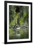 Great Egret-Gary Carter-Framed Photographic Print