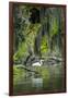 Great Egret-Gary Carter-Framed Photographic Print