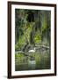 Great Egret-Gary Carter-Framed Photographic Print