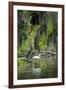 Great Egret-Gary Carter-Framed Photographic Print