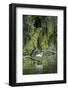 Great Egret-Gary Carter-Framed Photographic Print