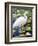 Great Egret-Max Hayslette-Framed Giclee Print