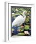 Great Egret-Max Hayslette-Framed Giclee Print