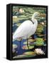 Great Egret-Max Hayslette-Framed Stretched Canvas