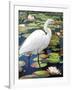 Great Egret-Max Hayslette-Framed Giclee Print