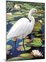 Great Egret-Max Hayslette-Mounted Giclee Print