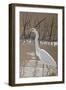 Great Egret-Rusty Frentner-Framed Premium Giclee Print