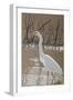 Great Egret-Rusty Frentner-Framed Premium Giclee Print