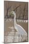 Great Egret-Rusty Frentner-Mounted Premium Giclee Print
