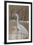 Great Egret-Rusty Frentner-Framed Giclee Print