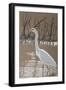 Great Egret-Rusty Frentner-Framed Giclee Print