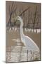 Great Egret-Rusty Frentner-Mounted Giclee Print