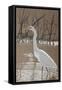 Great Egret-Rusty Frentner-Framed Stretched Canvas