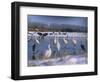 Great Egrets, and Grey Herons, on Frozen Lake, Pusztaszer, Hungary-Bence Mate-Framed Premium Photographic Print