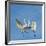 Great Egrets (Ardea Alba) Territorial Dispute Above Nest Colony-Juan Carlos Munoz-Framed Photographic Print