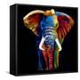 Great Elephant-Clara Summer-Framed Stretched Canvas