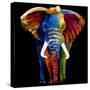 Great Elephant-Clara Summer-Stretched Canvas