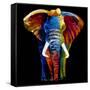 Great Elephant-Clara Summer-Framed Stretched Canvas