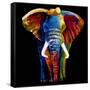 Great Elephant-Clara Summer-Framed Stretched Canvas