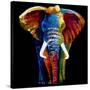 Great Elephant-Clara Summer-Stretched Canvas