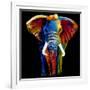 Great Elephant-Clara Summer-Framed Premium Giclee Print