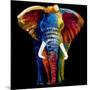 Great Elephant-Clara Summer-Mounted Premium Giclee Print