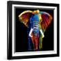 Great Elephant-Clara Summer-Framed Art Print