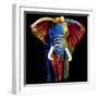 Great Elephant-Clara Summer-Framed Art Print