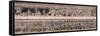 Great Exhibition, Crystal Palace, Hyde Park, London, 1851-null-Framed Stretched Canvas