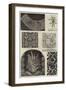 Great Exhibition of 1851-null-Framed Giclee Print