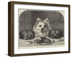 Great Expectations-Horatio Henry Couldery-Framed Giclee Print