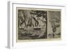 Great Fire on the Hooghly, Near Calcutta-null-Framed Giclee Print