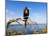 Great Frigate Bird (Frigata Minor), Isla Genovesa, Galapagos Islands, Ecuador-Christian Kober-Mounted Photographic Print