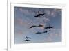 Great Frigate birds (Fregata minor ridgwayi), South Plaza Island, Galapagos islands, Ecuador.-Sergio Pitamitz-Framed Photographic Print